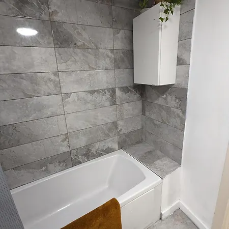 Spacious 3-bed In Center Appartement